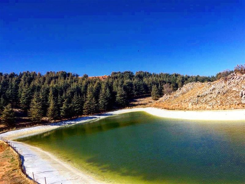 Here to the artificial lakes at our lovely cedars ❤️ GoodMorning Lebanon☀️ (Barouk Cedar Forest)