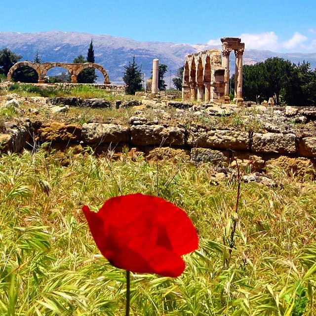 heritage coquelicot forteresse mountain discoverlebanon whatsuplebanon arch archleb (Anjar)