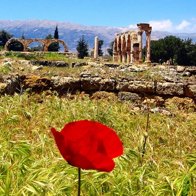 heritage coquelicot forteresse mountain discoverlebanon whatsuplebanon arch archleb (Anjar)