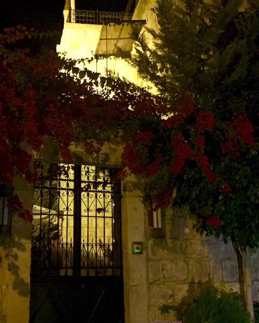  heritage  lebanonhouses  oldhouse  nostalgia  nightphotography  flowers ...