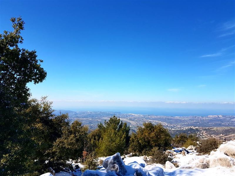 Hi blue sky.  love  nature  lebanon  snow  bkuesky  trees  bcharre ... (Bcharré, Liban-Nord, Lebanon)