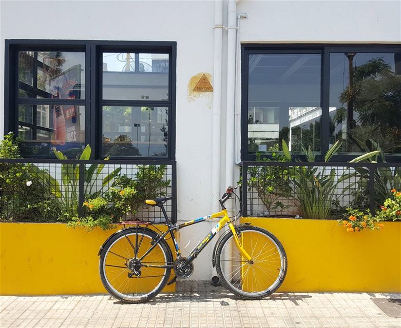 Hidden  Beirut... 🚲💛... Lebanon  hiddenbeirut  bicycle  marmkhayel ...