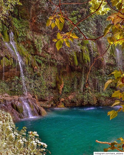Hidden Gems! 💎 (Chouf)