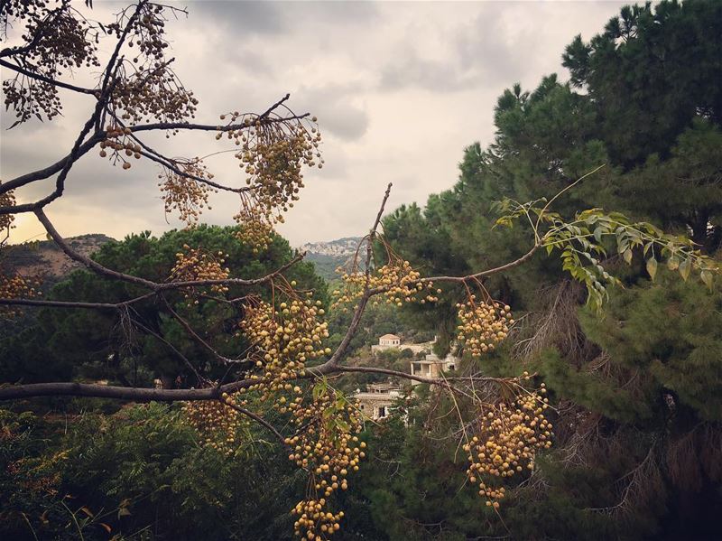 hidden gems... lebanon  oldhouse  mountains  mountainview  green ...