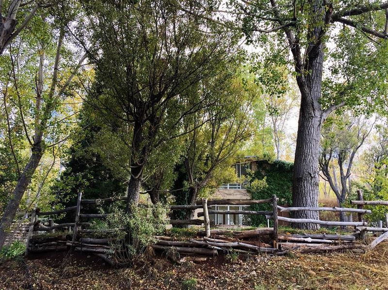 🍂🍁Hidden getaway🍂🍁 a7labaladbil3alam 🇱🇧..... photo  love ... (El Laqloûq, Mont-Liban, Lebanon)