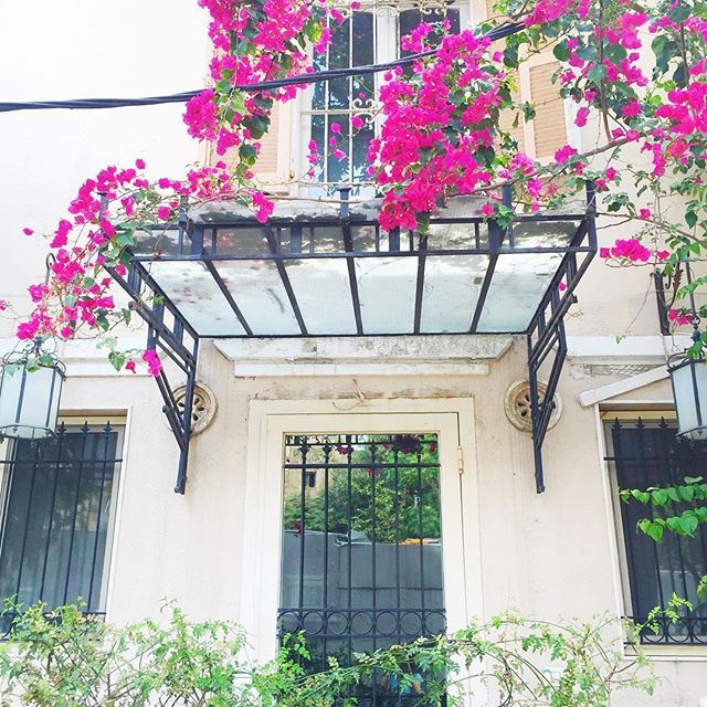 Hidden piece of heaven under the bougainvillea 💕. Good morning 🌺☕️🇱🇧! (Achrafieh - Beirut)