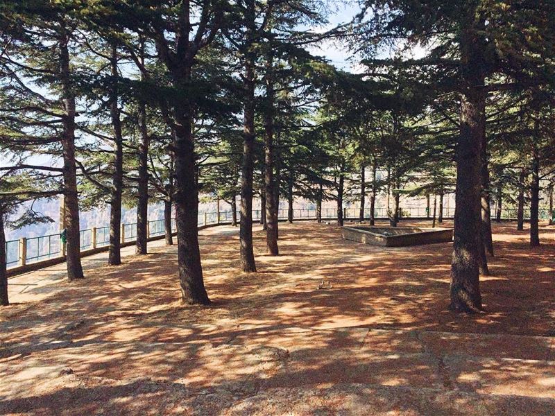 🌲  HiddenTreasures  WorldToXplore HuntgramLebanon  wonderful_places... (مار اليشاع - وادي قنوبين)