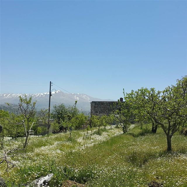 Hiding in the mountains  lebanesehouse  nofilter  lebanon_hdr ...