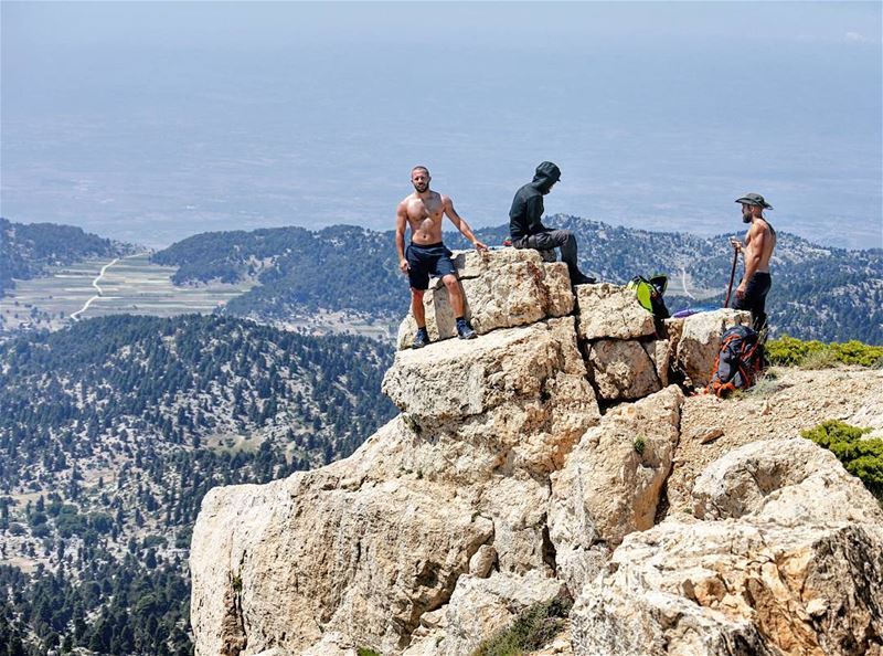 High on a hill 🚶🏔🚶🏔🚶 hike  peaks  rocks  Cliff  Forest  trees ...