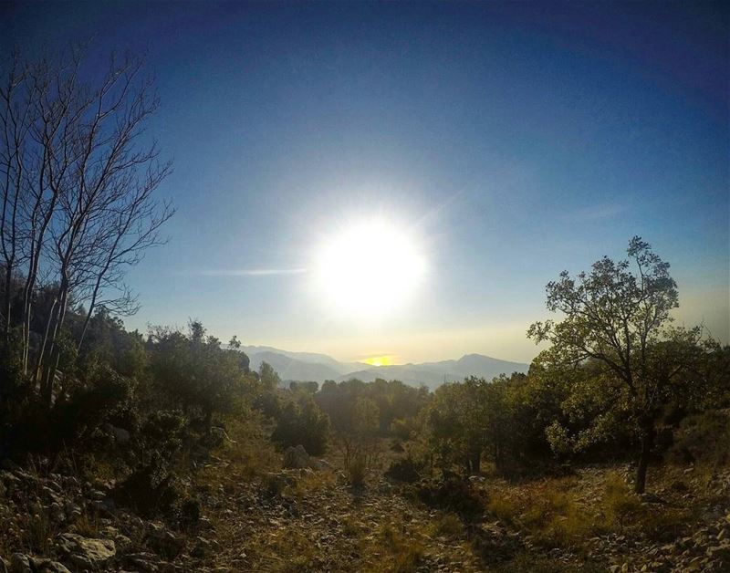  Hike  Enjoy the  Sunset JabalMoussa  Reserve  Forest  Sun  BleuSky ... (Jabal Moussa)