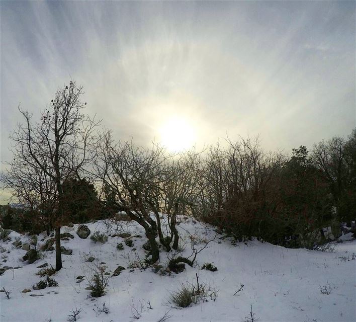  Hike  Enjoy the  Sunset JabalMoussa  Reserve  Forest  Sun  Snow ... (Jabal Moussa)