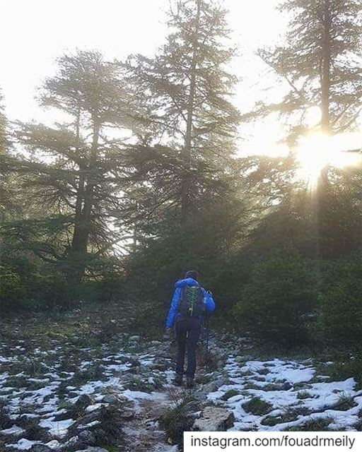  hike  hikinglb🌳🍀🌿🍃☀️  hikinglb  hikers  mountainarecalling ... (Aïn Zhalta, Mont-Liban, Lebanon)