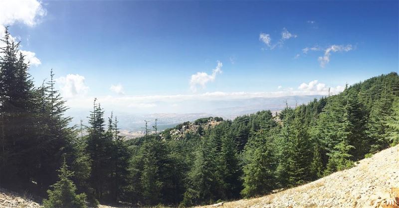 -Hike more, worry less🌲- ... ptk_lebanon  amazinglebanon  lebanon_hdr ... (Al Shouf Cedar Nature Reserve)