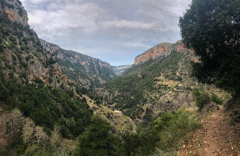 Hike more worry less 🤟🏻 (Qannoubine Valley)