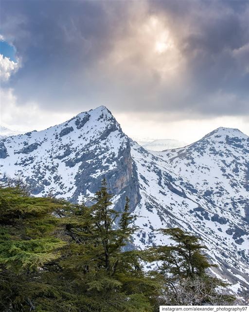 Hike more. Worry Less 🏔️⛰️ - The beautiful snow capped mountains of... (Arz Tannoûrîne)