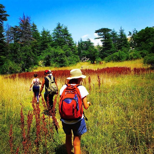 Hike with ProMax in Ehden Reserve this Sunday. Families & kids are... (Arez Ehden)