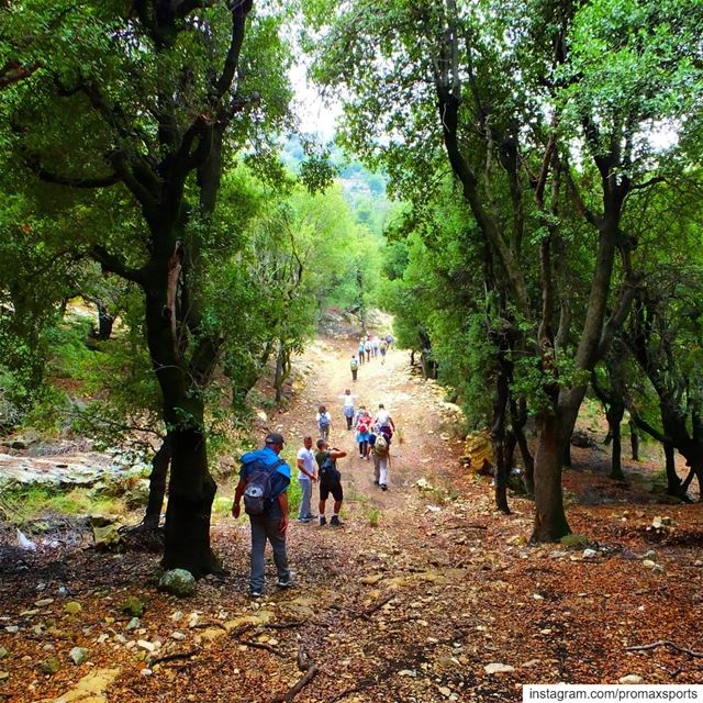 Hike with @promaxsports this Sunday, June 02 on Sebeel trail, North 🇱🇧 .... (Sebhel)