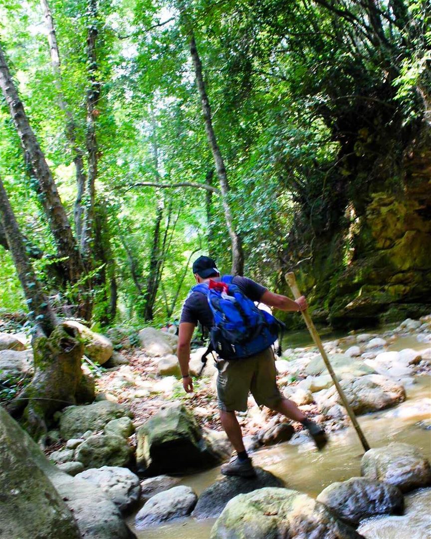  hiker  hikingadventures  riverwalk  lebanontimes  insta_lebanon ... (Reshmaya)