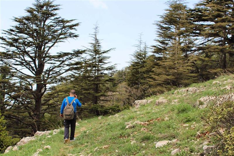  hiker  naturelovers  lebanonpassion  ptk_lebanon  livelovehike ...