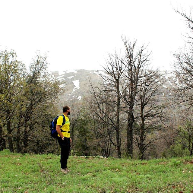  hiker springending  hiking cedars  reserve  tannourine  livelovebeirut ... (Tannourine,  Liban-Nord,  Lebanon)