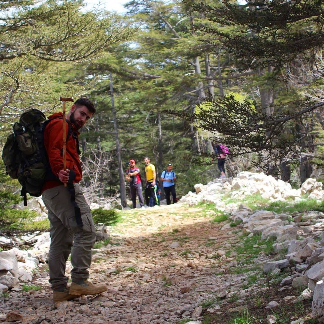  hiker sundaylook  tanourine  hikingadventures  forest  lebanesehikers ... (Arz Tannoûrîne)