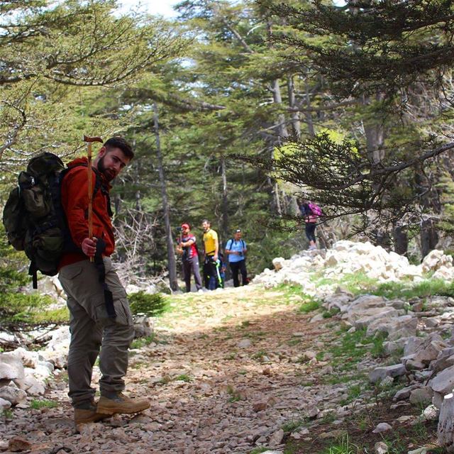  hiker sundaylook  tanourine  hikingadventures  forest  lebanesehikers ... (Arz Tannoûrîne)