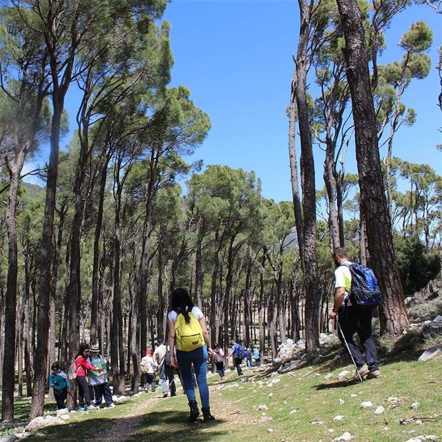  hikers hiking  lebanonnature beqaavalley  tree_captures  friendsofnature ...