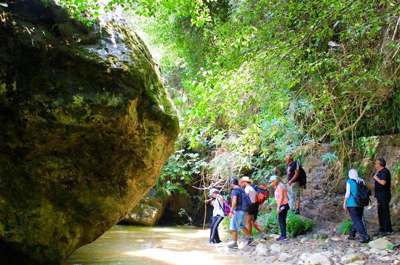  hikers  hikingadventures  riverwalk  amazingday  goodvibes  greenplant ... (Ghaboun, Mont-Liban, Lebanon)