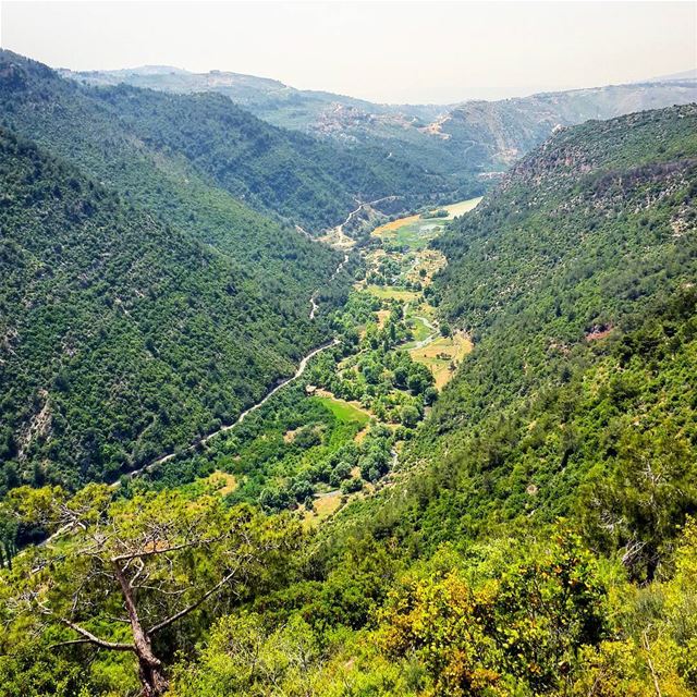  Hiking  3younelsamak  Lake  Landscape  Akkar  NorthLebanon  Lebanon... (3youn el Samak)