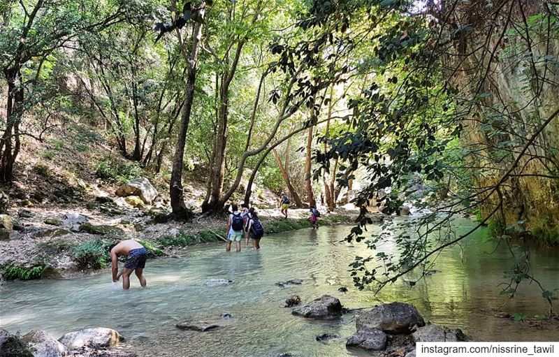  hiking  adventuretime  jabalmoussa  naturephotography  nature ... (Jabal Moussa Biosphere Reserve)