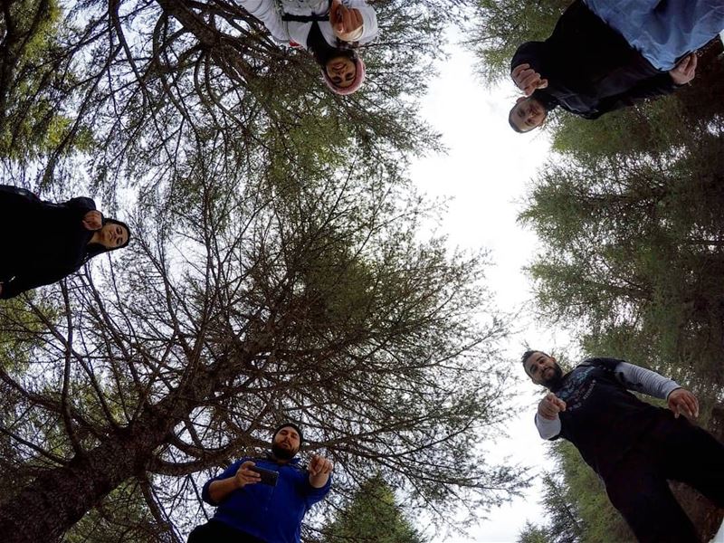  hiking among  cedars 🌲🌲🌲 barouk  lebanon ... (Bâroûk, Mont-Liban, Lebanon)