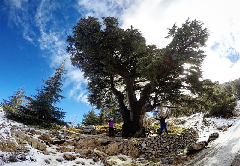  Hiking  Barouk  Cedars  Lebanon 🌲❄ wildernessculture  coupleswhohike ... (Arz el Bâroûk)