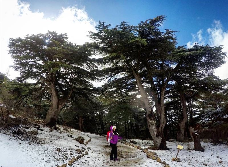  Hiking  Barouk  Cedars  Lebanon 🌲❄️ girlswhohike  hikergirl ... (Bâroûk, Mont-Liban, Lebanon)