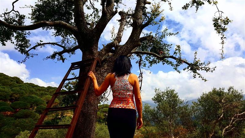  hiking  beitmery  lebanon  green  culture  backpacking  travel ... (Broummâna, Mont-Liban, Lebanon)