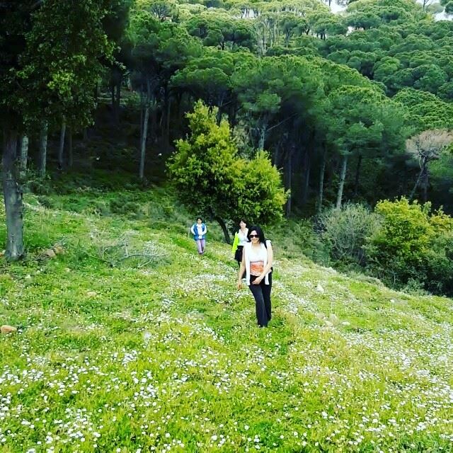  hiking  beitmery  lebanon  green  culture  backpacking  travel ... (Broummâna, Mont-Liban, Lebanon)