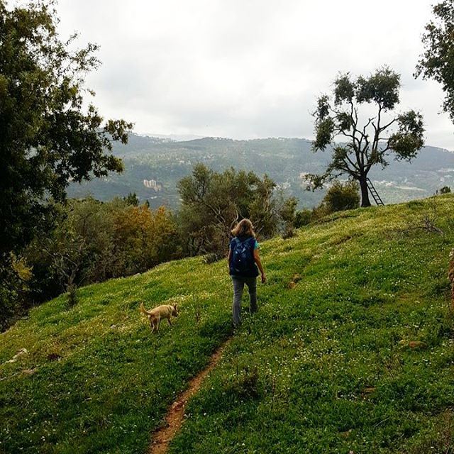  hiking  beitmery  lebanon  green  culture  backpacking  travel ... (Broummâna, Mont-Liban, Lebanon)