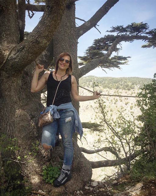  hiking  cedars  Lebanon ... (Tannourine Cedars Nature Reserve)