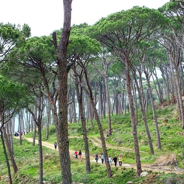  hiking  deirelharf  lebanon  green  culture  backpacking  travel  outdoor... (Deir El Haref)