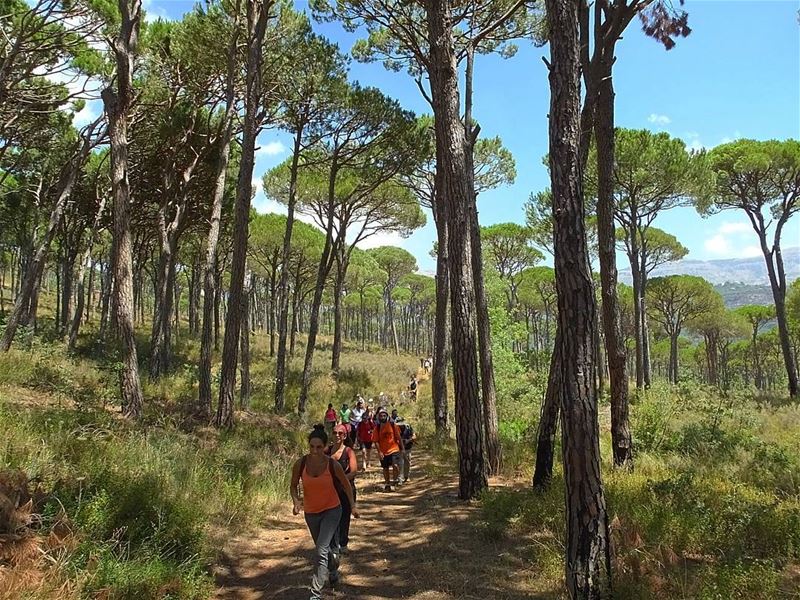  hiking  deirelharf  mountlebanon  lebanon  green  culture  backpacking ... (Deir El Haref)