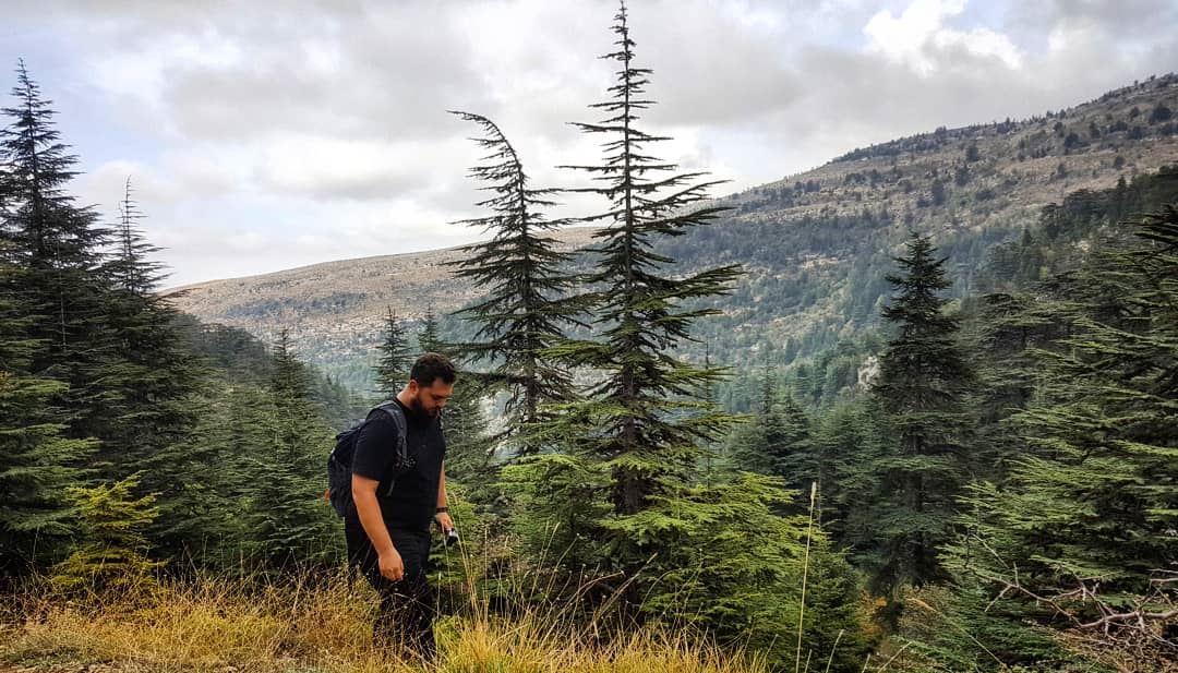  Hiking  Ehden  Forest  Lebanon 🇱🇧📸 By @rene_gemayel 😎... (Ehden, Lebanon)