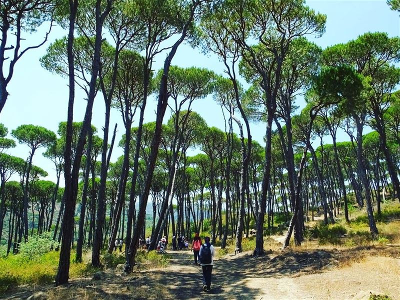  hiking  explorelebanon  livelovelife  livelovelebanon  livelovelaugh ... (Jezzîne, Al Janub, Lebanon)