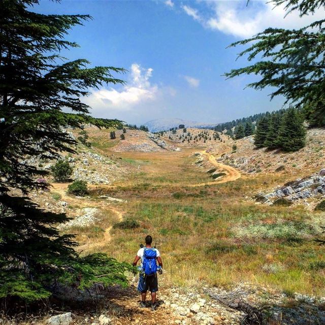  hiking  explorelebanon  livelovelife  livelovelebanon  livelovelaugh ... (Al Shouf Cedar Nature Reserve)