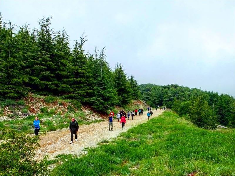  hiking  explorelebanon  livelovelife  livelovelebanon  livelovelaugh ... (Shouf Biosphere Reserve)