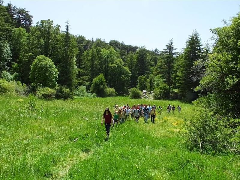  hiking  explorelebanon  livelovelife  livelovelebanon  whatsuplebanon ... (Ehden, Lebanon)