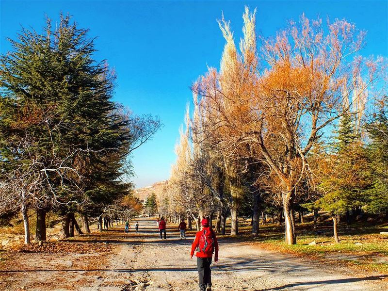  hiking  explorelebanon  picoftheday  livelovelebanon  naturephotography ... (Tilal Bakish)