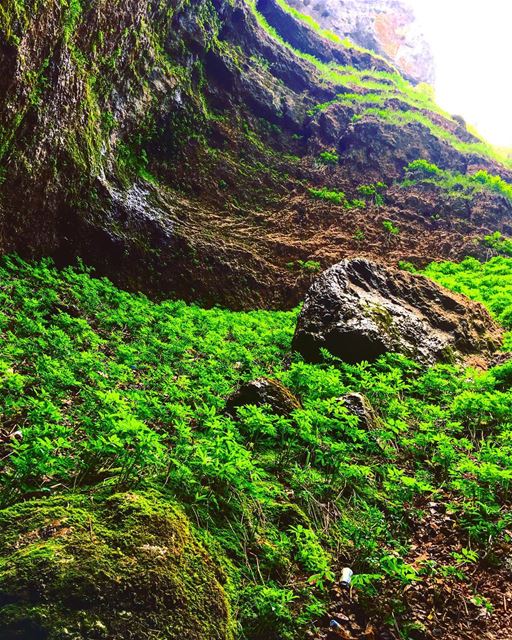  hiking hike hikers hikingsports hikingadventure adventure adventuretime... (Tannourine-Balou3 Bal3a)
