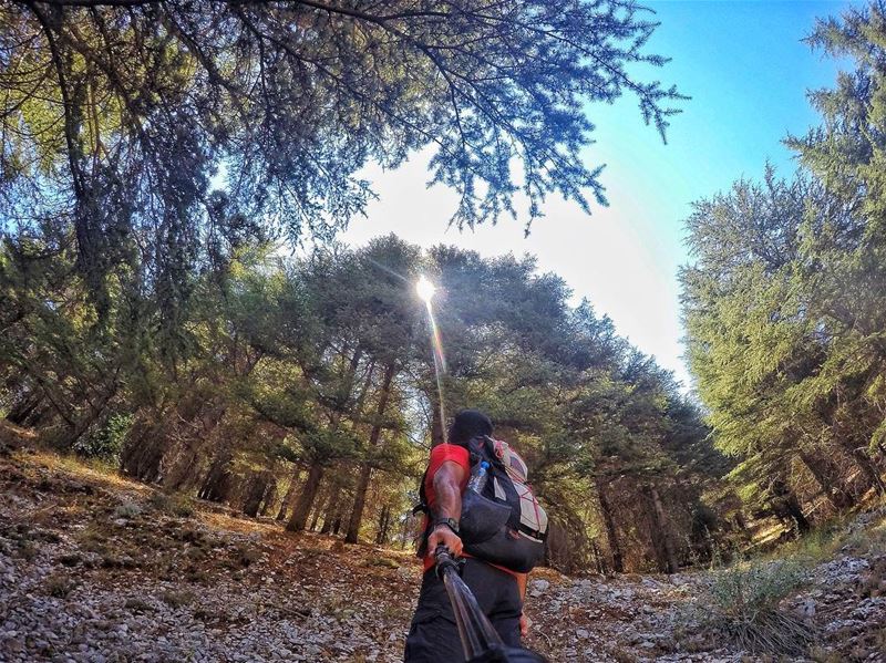  hiking  hikingadventures  hikingtime  hikingvibes  hikingfun  hikinglover...