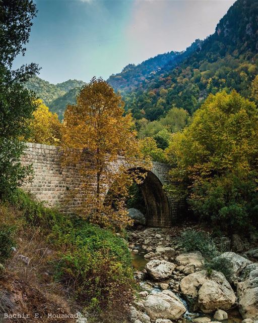  hiking  hikingadventures  wadielsalib  valley  bridge  oldbridge  autumn ...