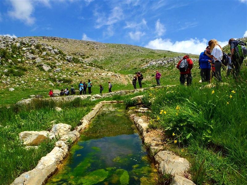  hiking  hikinglebanon  hrajel  qahmez   lebanon  green  culture ...