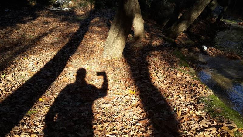 • hiking  hikingtrail  sun  sunny  me  shadowme  trees  autumn ...